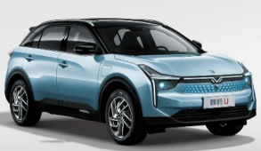 y80000��������